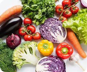 たくさんの野菜の写真